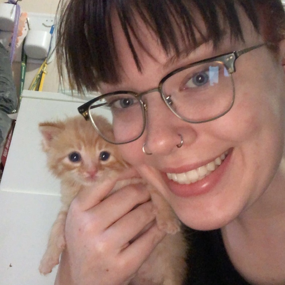 Meet your Posher, Abigail